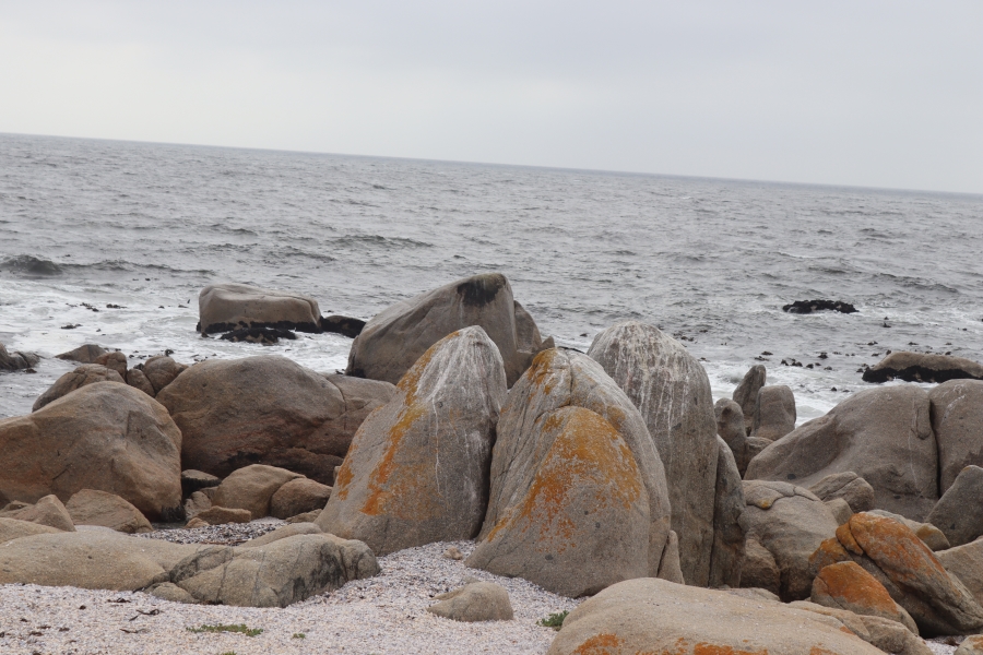 0 Bedroom Property for Sale in Britannica Heights Western Cape